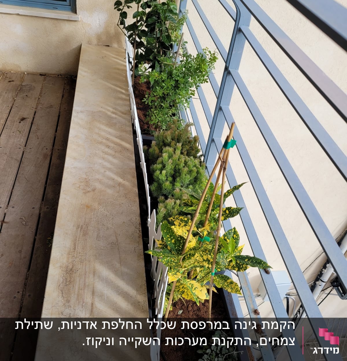עציצים עם צמחים שונים על מרפסת עם אדמה וגדר קטנה
